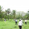 Tree Plantation at GA Bungalow